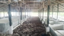 KPK Tipikor Wilayah Provinsi Riau Siap Investigasi Proyek Kilang Sagu yang Mangkrak