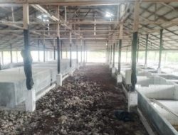 KPK Tipikor Wilayah Provinsi Riau Siap Investigasi Proyek Kilang Sagu yang Mangkrak